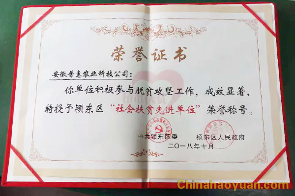 部落前锋(中国区)官方网站