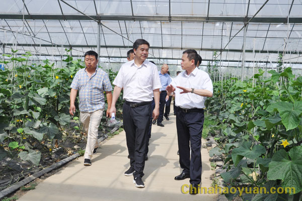 部落前锋(中国区)官方网站