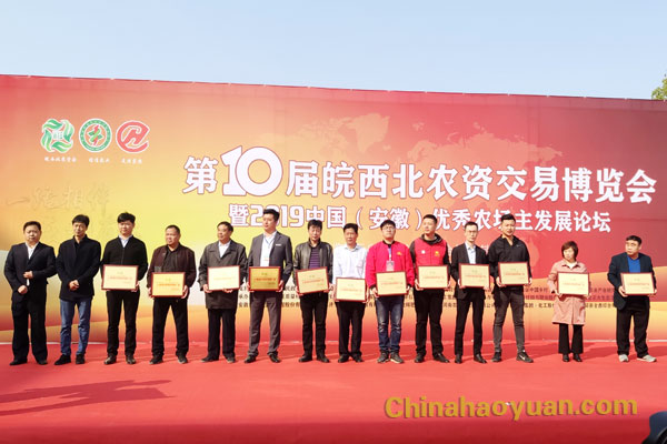 部落前锋(中国区)官方网站