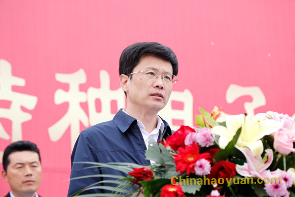 部落前锋(中国区)官方网站