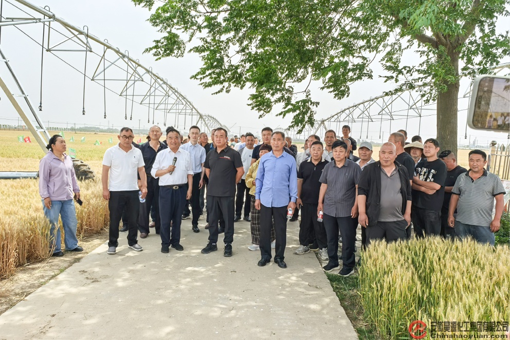 部落前锋(中国区)官方网站