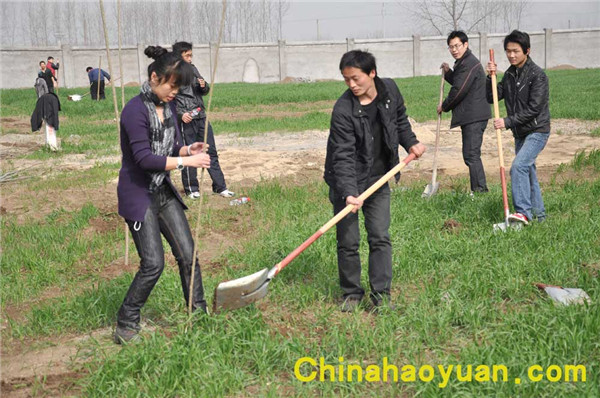 部落前锋(中国区)官方网站