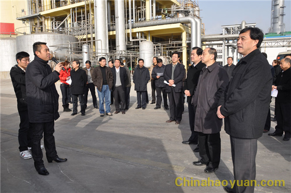 20101210164503 部落前锋(中国区)官方网站