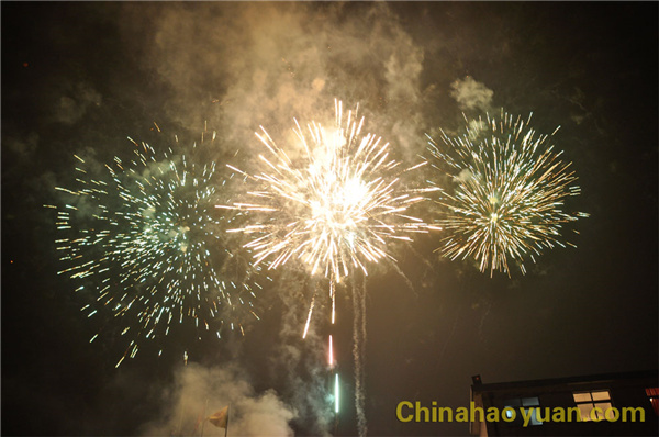 20140217084307 部落前锋(中国区)官方网站
