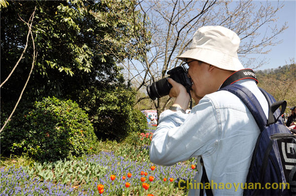 20140326110154 部落前锋(中国区)官方网站