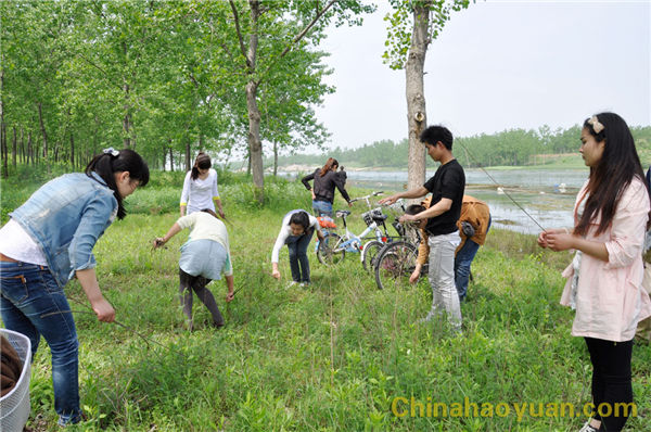 20140424103153 部落前锋(中国区)官方网站
