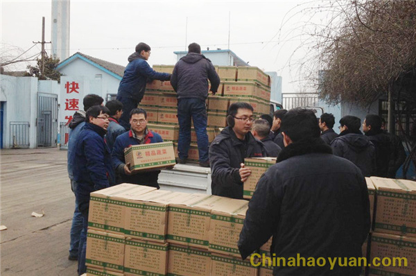 部落前锋(中国区)官方网站
