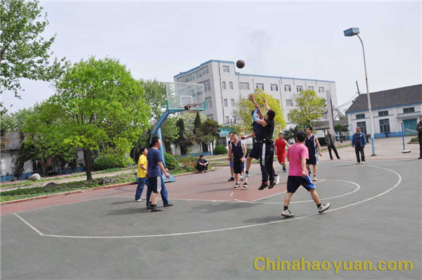 291400218619 部落前锋(中国区)官方网站