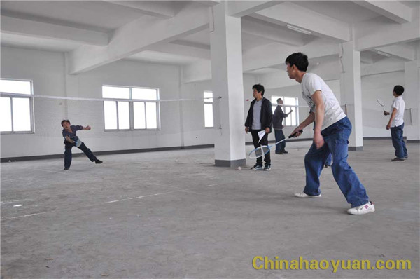 291401434433 部落前锋(中国区)官方网站